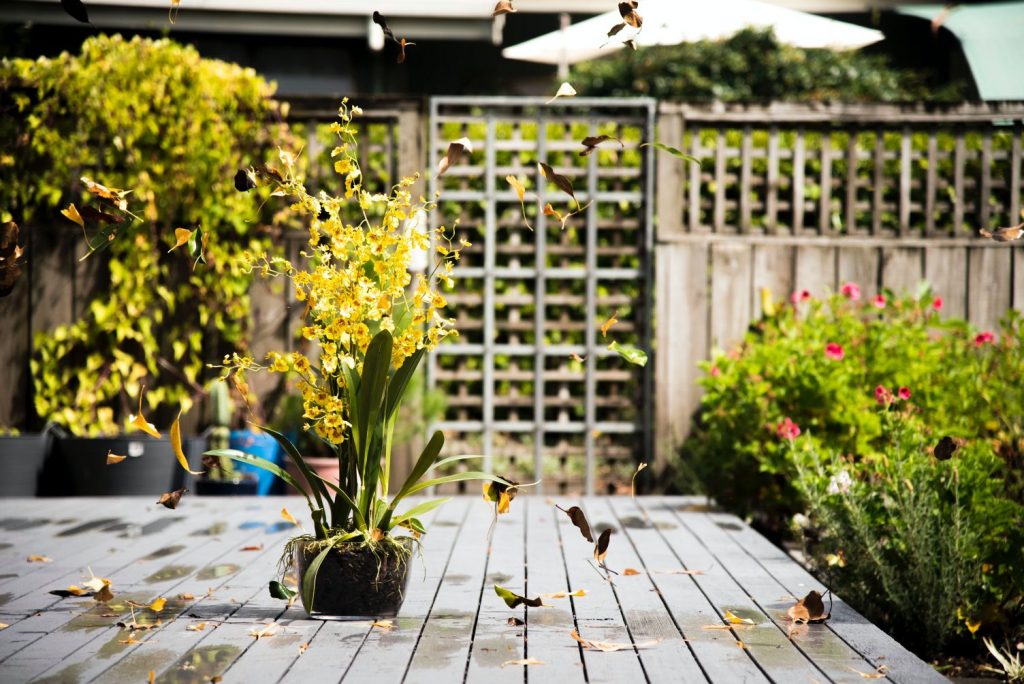 garden-trends-everythingwithatwist-02